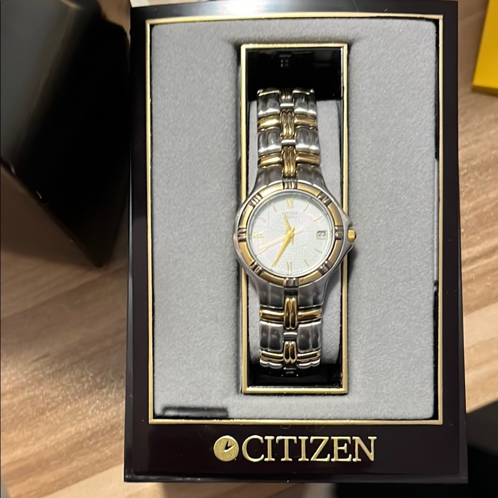 Citizen Silver and Gold Watch
Would fit a small wrist…I do not have more links